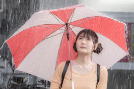 ドラマ24 初恋、ざらり