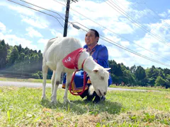 ヤギと大悟