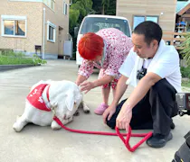 ヤギと大悟