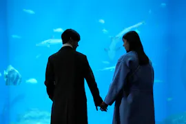 ドラマNEXT 五十嵐夫妻は偽装他人