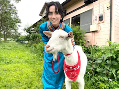 ヤギと大悟