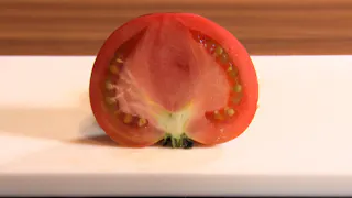 ガイアの夜明け