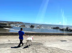 ヤギと大悟