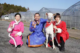 ヤギと大悟