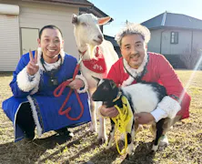 ヤギと大悟