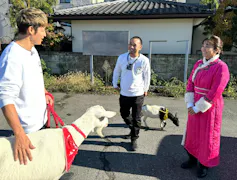 ヤギと大悟