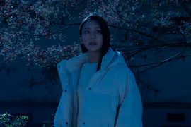 ドラマ9 元科捜研の主婦