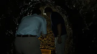 ガイアの夜明け