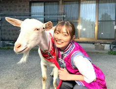 ヤギと大悟