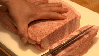 ガイアの夜明け