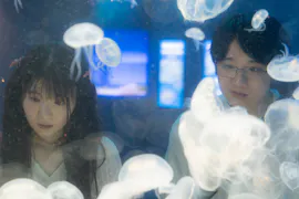ドラマ24 初恋、ざらり
