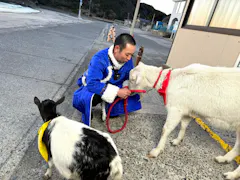 ヤギと大悟