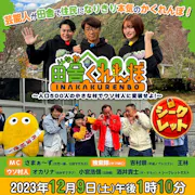 田舎くれんぼ ~人口500人の小さな村でウソ村人に変装せよ!~