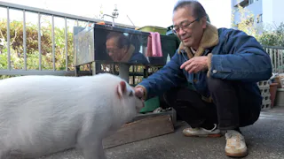 ガイアの夜明け