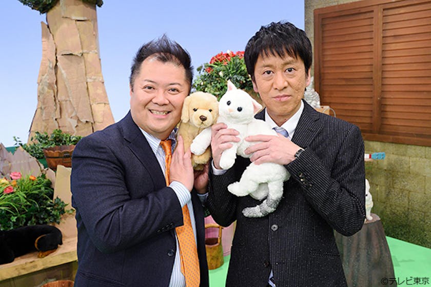 モフ好きな芸能人たちが集結し どうぶつの キモチ と魅力を伝える好評企画第二弾 激かわモフモフ大連発 どうぶつのキモチがわかる森 テレ東 リリ速 テレ東リリース最速情報 テレビ東京 bsテレ東 7ch 公式 モフ好きな芸能人たちが集結し どうぶつの キモチ と魅力を伝える好評企画第二弾 激かわモフモフ大連発 どうぶつのキモチがわかる森 テレ東 リリ速 テレ東リリース最速情報 テレビ東京 bsテレ東 7ch 公式