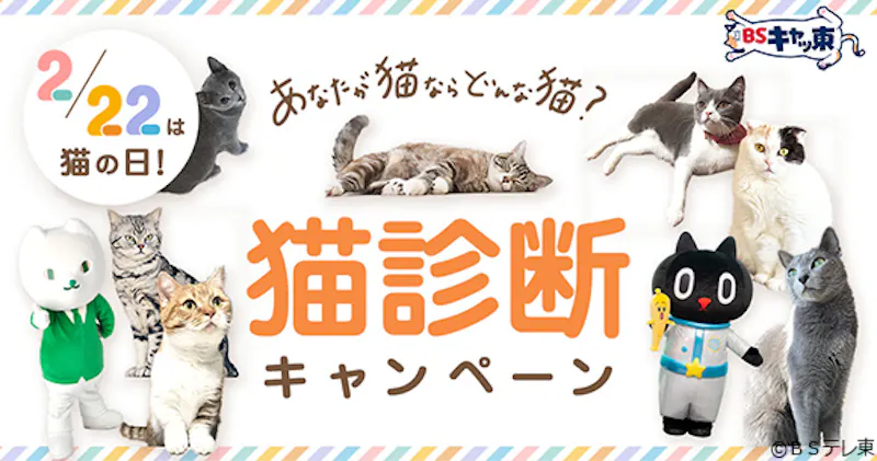 2月22日 月 は 猫の日 今年もやります 猫たちへ感謝と愛を伝えたい 番組情報 募金企画も ｂｓキャッ東 テレ東 リリ速 テレ東リリース最速情報 テレビ東京 ｂｓテレ東 7ch 公式