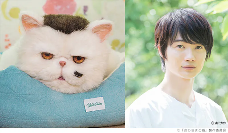 癒される 泣けると話題沸騰のドラマに新たな猫が登場 ふくまるとそっくりな猫の声役で松本穂香が出演決定 ドラマparavi おじさまと猫 テレ東 リリ速 テレ東リリース最速情報 テレビ東京 ｂｓテレ東 7ch 公式