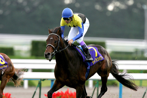 緊急追悼！日本競馬界の宝・ディープインパクトの功績を振り返る