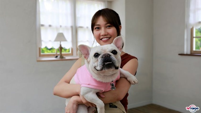 麻薬 検疫探知犬に密着 撮影中にまさかの探知に現場は騒然 ゲスト 井上苑子 どうぶつピース テレ東 リリ速 テレ東リリース最速情報 テレビ東京 ｂｓテレ東 7ch 公式