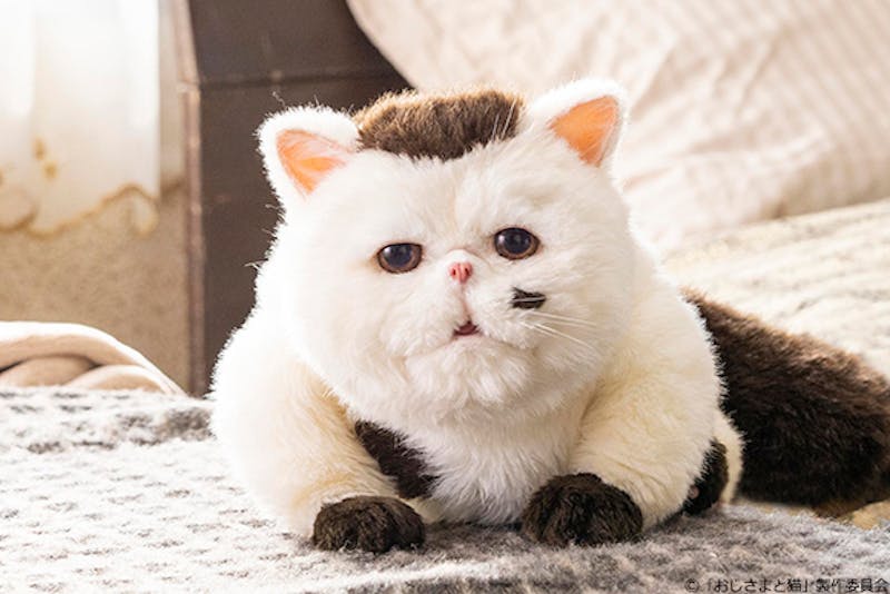 草刈正雄がテレビ東京初主演 大人気コミックを連続ドラマ化 おじさまと猫のハートフルストーリー ドラマparavi おじさまと猫 テレ東 リリ速 テレ東リリース最速情報 テレビ東京 bsテレ東 7ch 公式 草刈正雄がテレビ東京初主演 大人気コミックを連続ドラマ化 おじさまと猫のハートフルストーリー ドラマparavi おじさまと猫 テレ東 リリ速 テレ東リリース最速情報 テレビ東京 bsテレ東 7ch 公式
