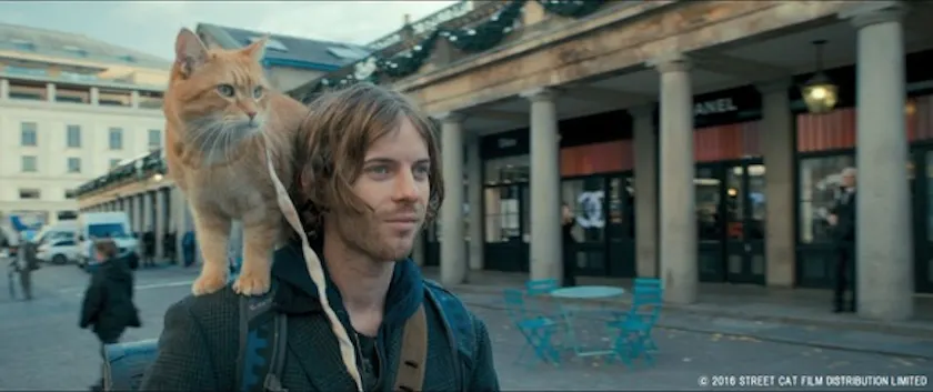 ありがとうボブ Bsテレ東で映画 ボブという名の猫 幸せのハイタッチ を追悼放送 テレ東 リリ速 テレ東リリース最速情報 テレビ東京 ｂｓテレ東 7ch 公式