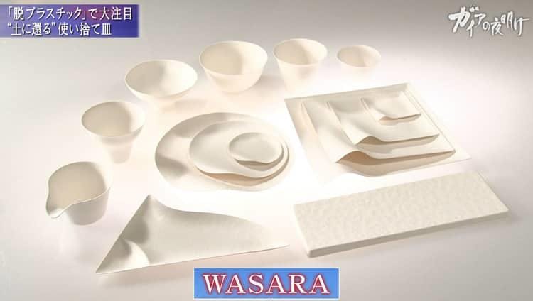 日本の高級紙皿が世界で売れるワケ ガイアの夜明け テレ東プラス