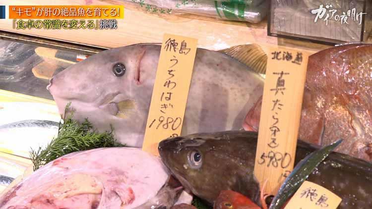 キモたっぷりのカワハギ 絶品ウニ 無印 でも販売 進化する養殖魚 ガイアの夜明け テレ東プラス