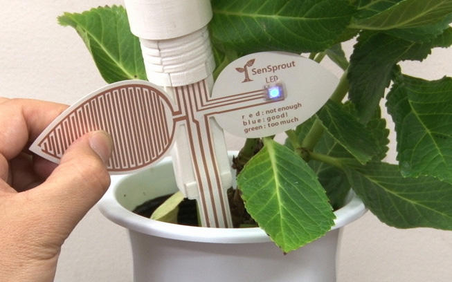 植物を元気に育てるセンサー技術。栽培技術研究の最先端をご紹介