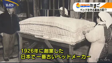 大切なマットレスを守る「最後の砦」マットレス専用ラップ：WBS 