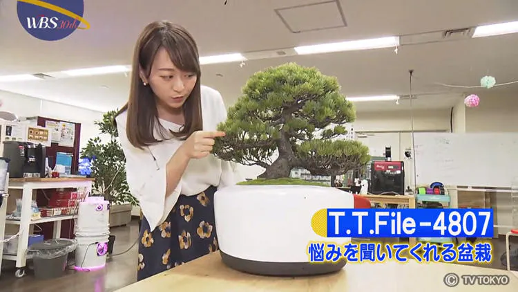 悩みを聞いてアドバイスをくれる盆栽 Wbs テレ東プラス