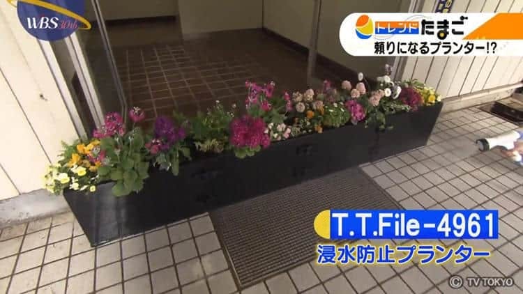 あるとないとでは大違い 浸水防止プランター Wbs テレ東プラス あるとないとでは大違い 浸水防止プランター Wbs テレ東プラス