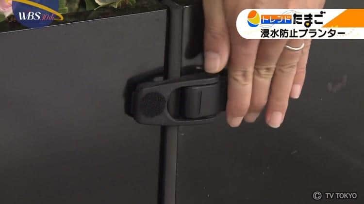 あるとないとでは大違い！浸水防止プランター：WBS | テレビ東京・BS