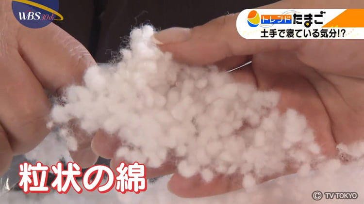 河原の土手の寝心地 を追求した究極の布団 Wbs テレ東プラス 河原の土手の寝心地 を追求した究極の布団 Wbs テレ東プラス
