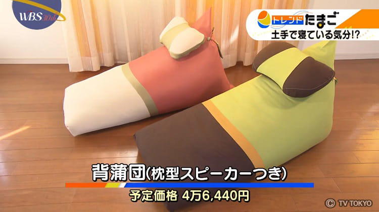 河原の土手の寝心地”を追求した究極の布団：WBS | テレビ東京・BS