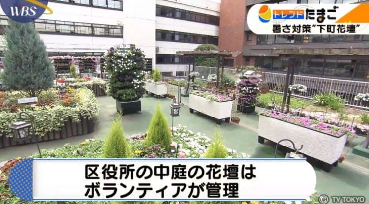 夏の暑さを吹き飛ばす 自動で水やり ミストが出る花壇 Wbs テレ東プラス 夏の暑さを吹き飛ばす 自動で水やり ミストが出る花壇 Wbs テレ東プラス