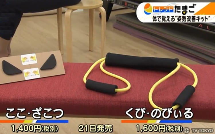 猫背矯正成功プログラム DVD 3枚組 猫背矯正成功プログラム DVD 3枚組 猫背矯正成功プログラム DVD