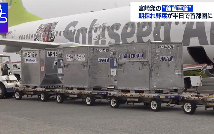 苦境の航空会社が続々参入 ”産直空輸”で新名物が誕生！？＜WBS