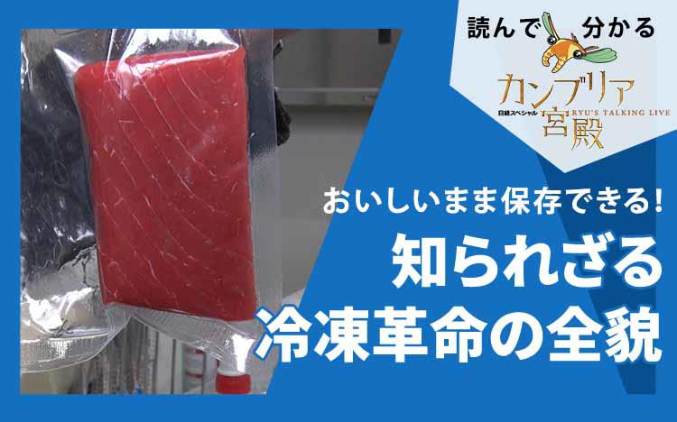 宮殿　宮内庁蔵版　毎日新聞社刊　保管時箱つぶれ、スレ、シミあり 宮殿 宮内庁蔵版 毎日新聞社刊 保管時箱つぶれ、スレ、シミあり