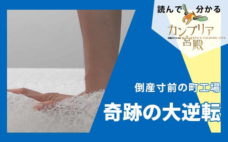 額装済/部分的に破壊した宮殿/パウル クレー 額装済/部分的に破壊した宮殿/パウル クレー