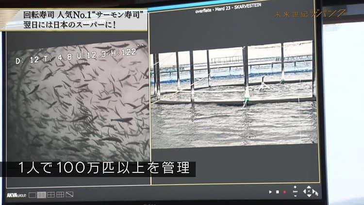 サバが足りない スシローが最後に頼った意外な生産国 未来世紀ジパング テレ東プラス