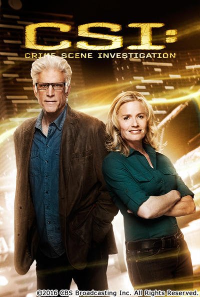 CSI:科学捜査班-最終章- 終わらない街ラスベガス DVD