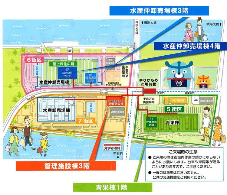 マグロのせり見学から ツウも喜ぶ絶品グルメまで ディープに楽しむ 豊洲市場 ガイド テレ東プラス マグロのせり見学から ツウも喜ぶ絶品グルメまで ディープに楽しむ 豊洲市場 ガイド テレ東プラス