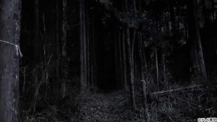 不気味な森の中に奇妙な建物 施設からは うやあああ あえじゅううううう など多人数の声が聞こえ テレ東プラス 不気味な森の中に奇妙な建物 施設からは うやあああ あえじゅううううう など多人数の声が聞こえ テレ東プラス
