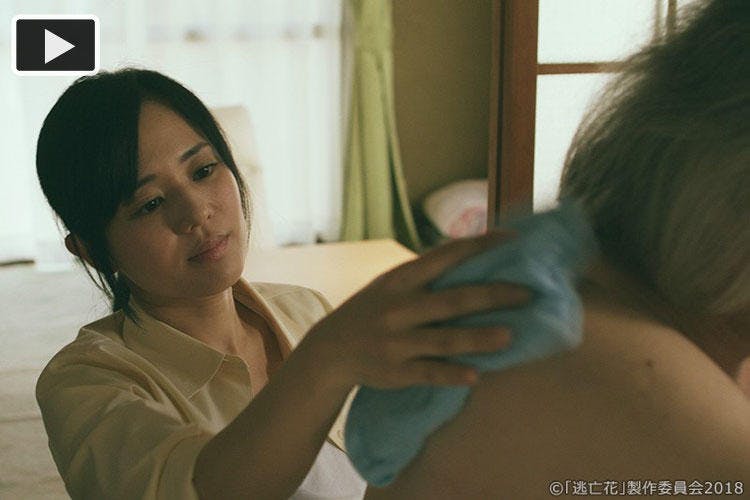 蒼井そらと同棲生活 クライマックスを前に事態は急展開に 逃亡花 テレ東プラス