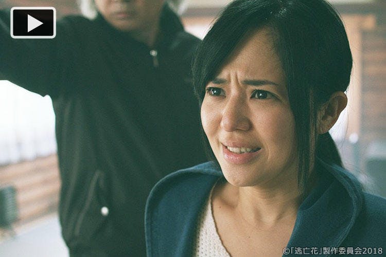 蒼井そらと山荘で 一触即発の事態 ついに事件の真相が明らかに 逃亡花 テレ東プラス