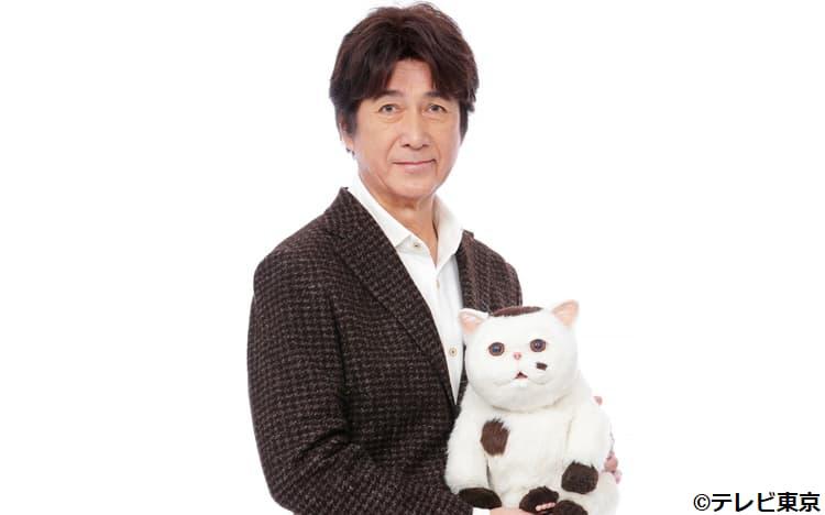 おじさまと猫 草刈正雄  DVD BOX おじさまと猫 DVD BOX
