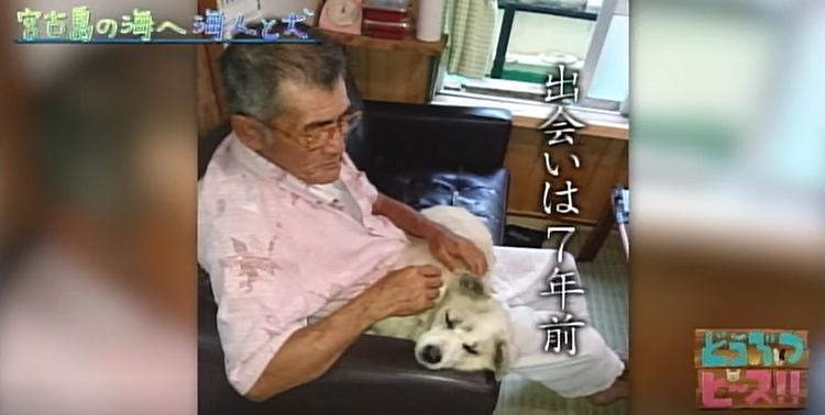 感動！ 池間の”忠犬ハチ公” 宮古島エメラルドグリーンの海で一緒に漁を