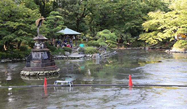 第4弾放送決定 日比谷公園の池の水を抜いちゃいます 日曜ビッグバラエティ 緊急sos 超巨大怪物が出 テレ東プラス 第4弾放送決定 日比谷公園の池の水を抜いちゃいます 日曜ビッグバラエティ 緊急sos 超巨大怪物が出 テレ東プラス
