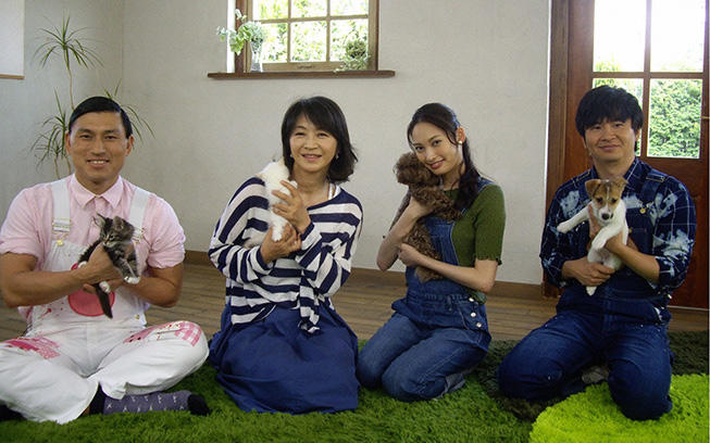 海外にいた忠犬ハチ公物語！？日本から世界まで！ペットが起こす