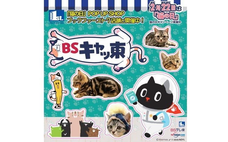 田中要次が愛猫の魅力を語る 来るの 来ないの どっち あぁ と テレ東プラス 田中要次が愛猫の魅力を語る 来るの 来ないの どっち あぁ と テレ東プラス